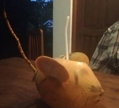 Коктейль от Ироша